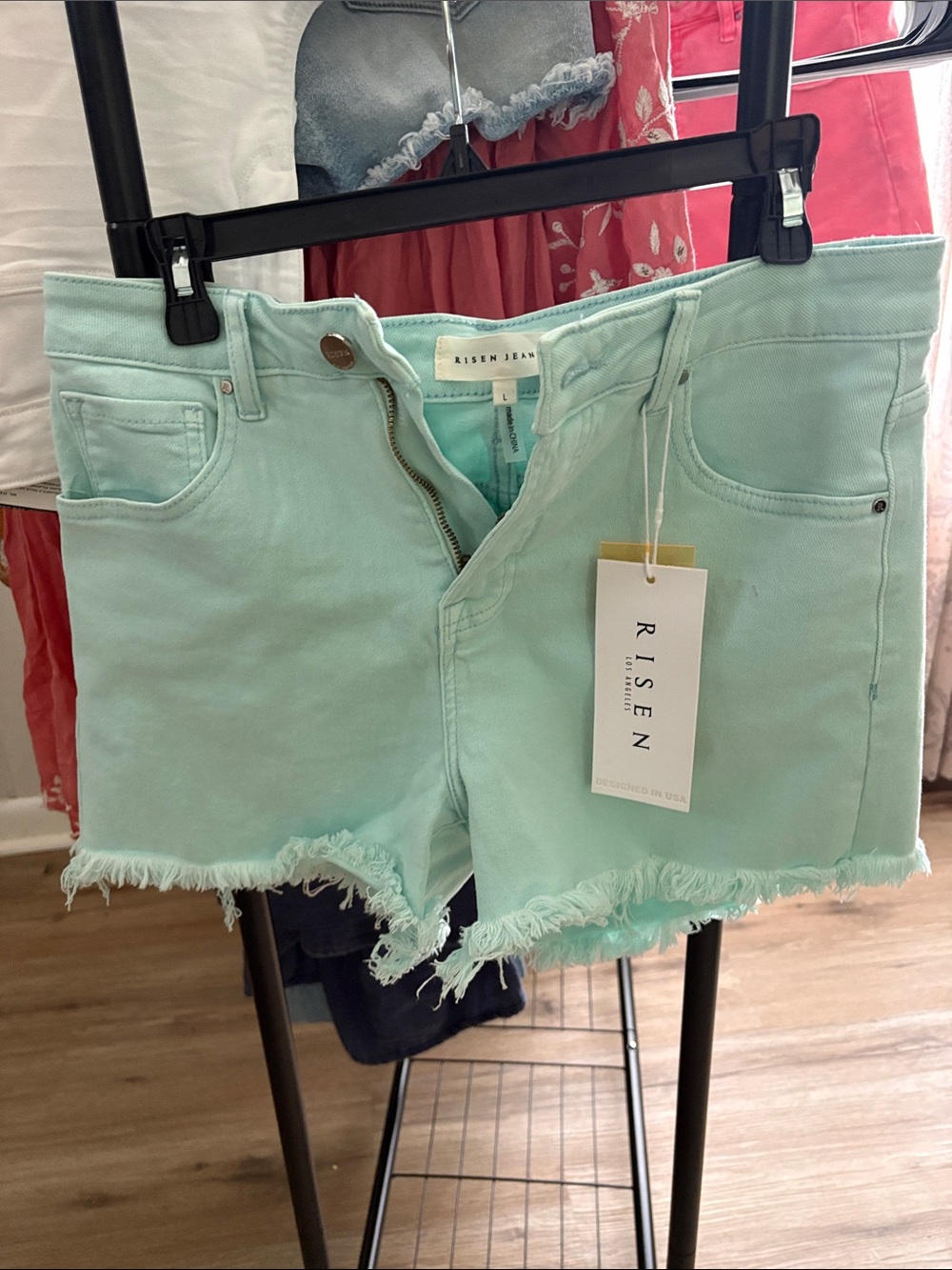 Risen Mint High-Rise Frayed Hem Denim Shorts